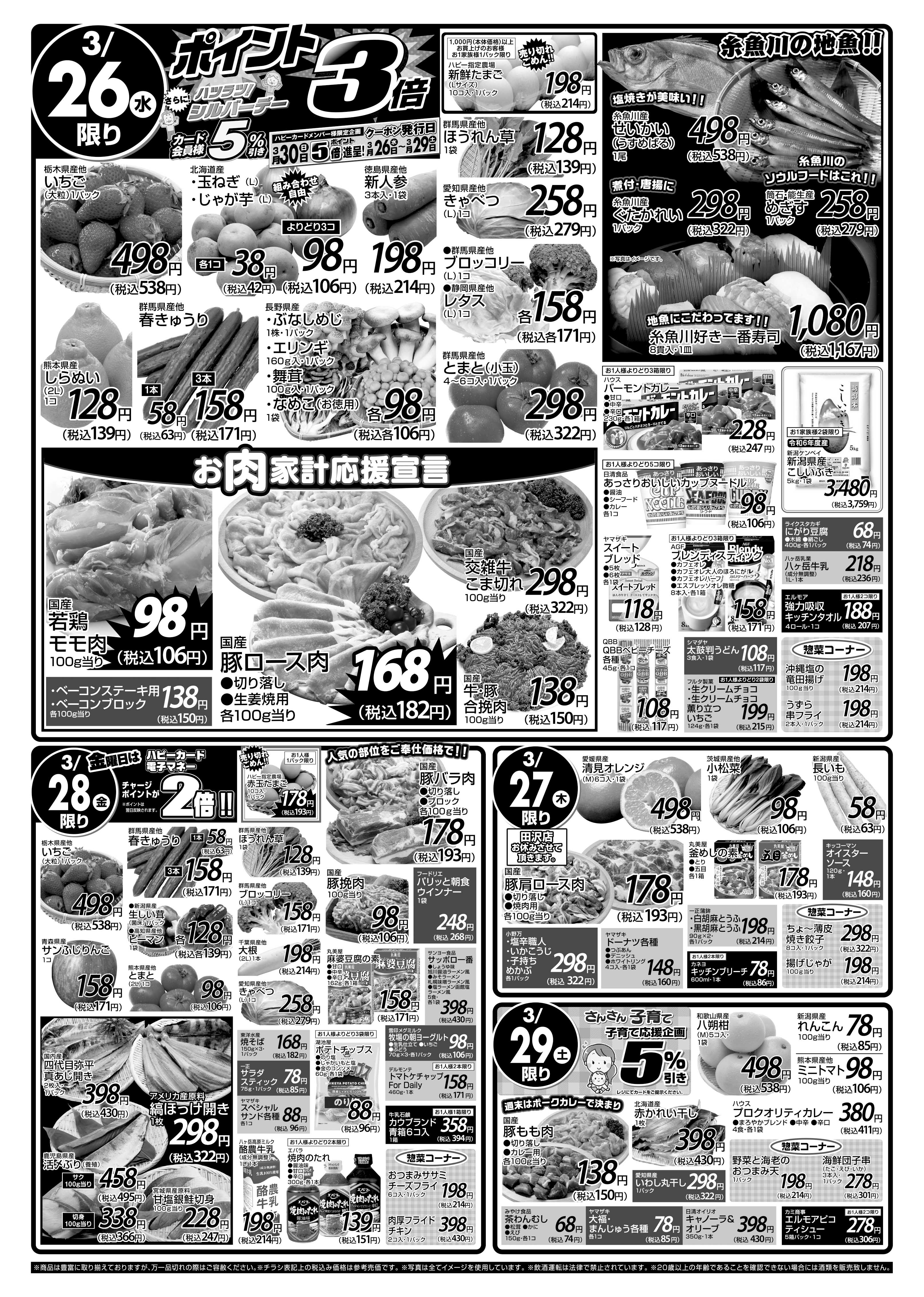 チラシ裏面